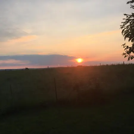 Arduena - Het Ardennetje Holiday home *
