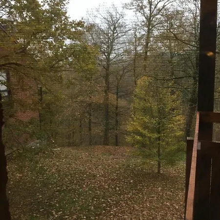 Arduena - Het Ardennetje Holiday home