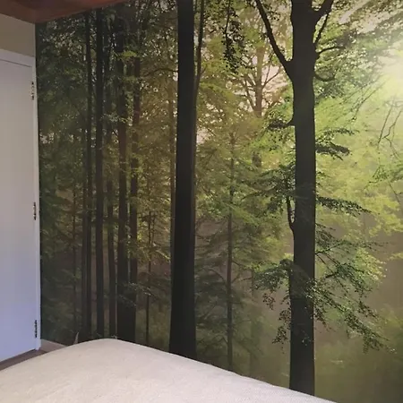 Arduena - Het Ardennetje Holiday home Blaimont