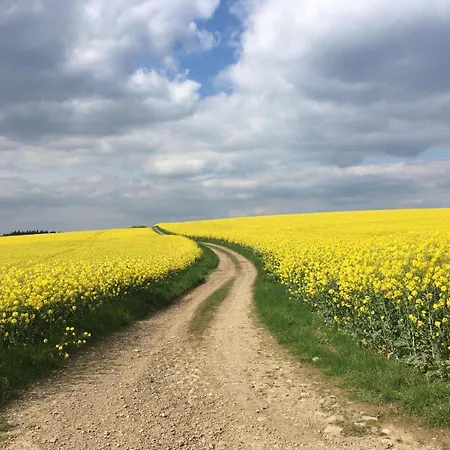 Arduena - Het Ardennetje Blaimont
