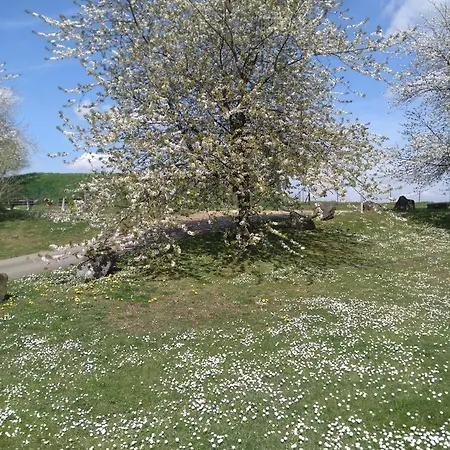 Arduena - Het Ardennetje Σπίτι διακοπών