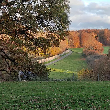 Arduena - Het Ardennetje